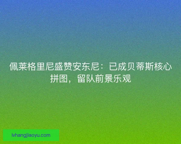 佩莱格里尼盛赞安东尼：已成贝蒂斯核心拼图，留队前景乐观